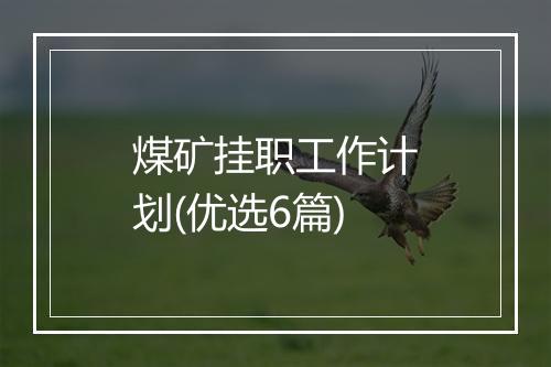煤矿挂职工作计划(优选6篇)