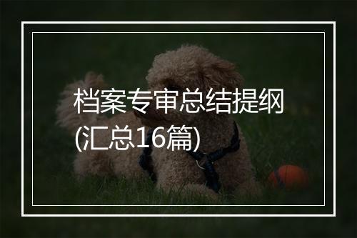 档案专审总结提纲(汇总16篇)