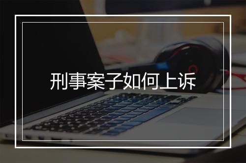 刑事案子如何上诉
