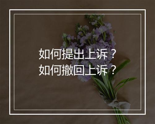 如何提出上诉？如何撤回上诉？