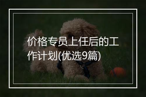 价格专员上任后的工作计划(优选9篇)