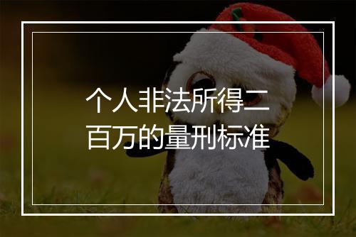 个人非法所得二百万的量刑标准