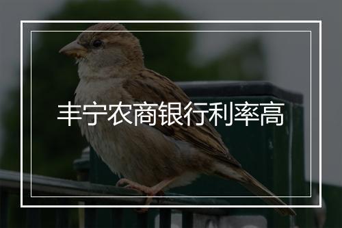 丰宁农商银行利率高