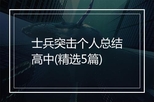 士兵突击个人总结高中(精选5篇)