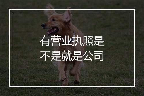 有营业执照是不是就是公司