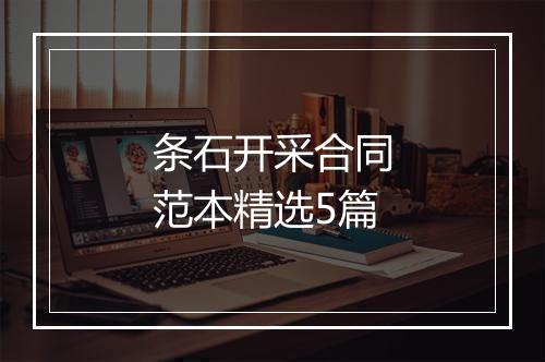 条石开采合同范本精选5篇