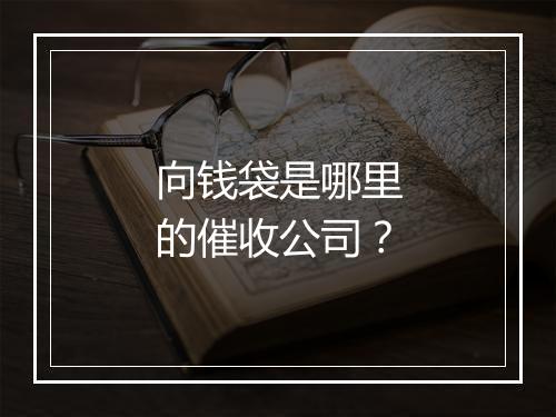 向钱袋是哪里的催收公司？