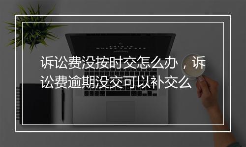 诉讼费没按时交怎么办，诉讼费逾期没交可以补交么