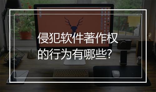 侵犯软件著作权的行为有哪些?