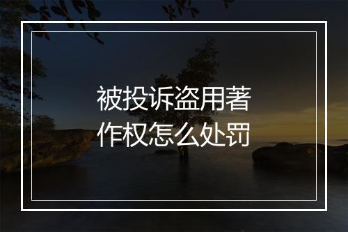 被投诉盗用著作权怎么处罚