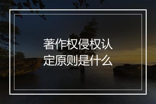 著作权侵权认定原则是什么