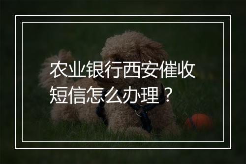 农业银行西安催收短信怎么办理？