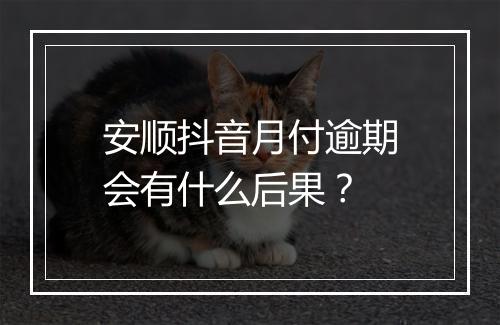 安顺抖音月付逾期会有什么后果？