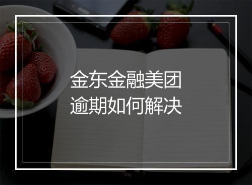 金东金融美团逾期如何解决