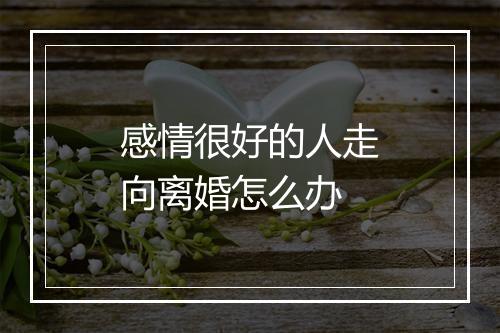 感情很好的人走向离婚怎么办