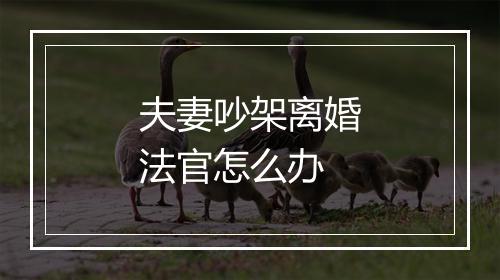 夫妻吵架离婚法官怎么办