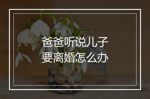 爸爸听说儿子要离婚怎么办