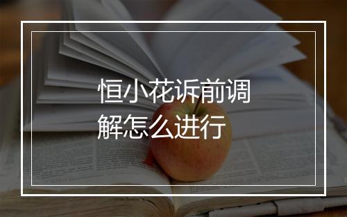 恒小花诉前调解怎么进行