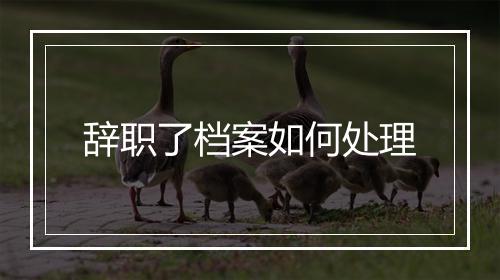 辞职了档案如何处理