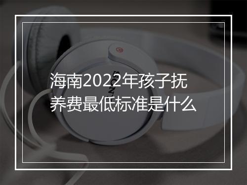 海南2022年孩子抚养费最低标准是什么