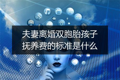 夫妻离婚双胞胎孩子抚养费的标准是什么