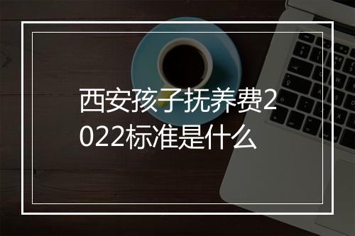西安孩子抚养费2022标准是什么