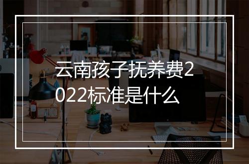 云南孩子抚养费2022标准是什么