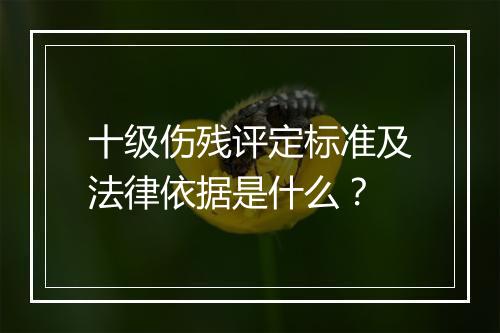 十级伤残评定标准及法律依据是什么？