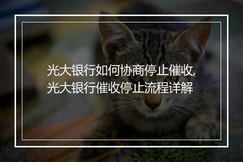 光大银行如何协商停止催收,光大银行催收停止流程详解