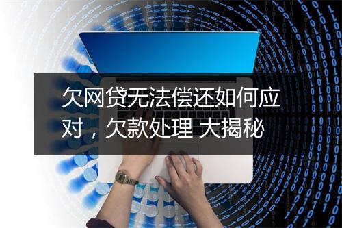 欠网贷无法偿还如何应对，欠款处理 大揭秘