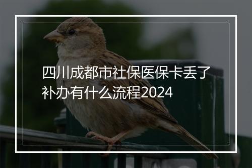 四川成都市社保医保卡丢了补办有什么流程2024