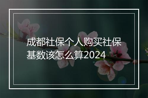 成都社保个人购买社保基数该怎么算2024