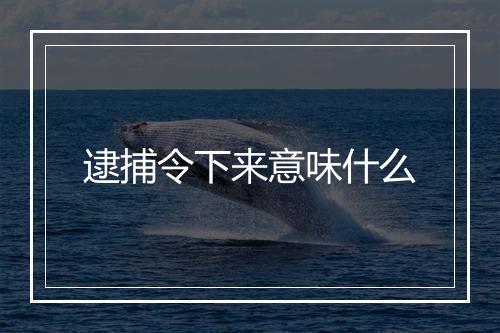 逮捕令下来意味什么