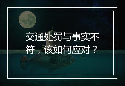交通处罚与事实不符，该如何应对？