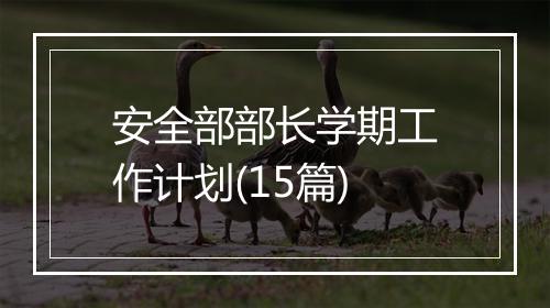 安全部部长学期工作计划(15篇)