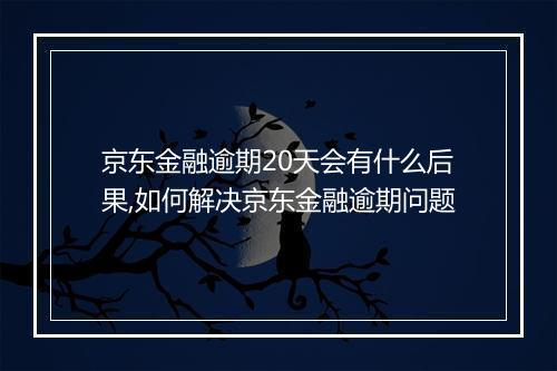 京东金融逾期20天会有什么后果,如何解决京东金融逾期问题