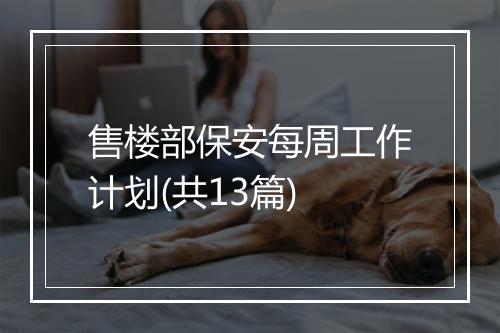 售楼部保安每周工作计划(共13篇)