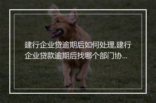 建行企业贷逾期后如何处理,建行企业贷款逾期后找哪个部门协商