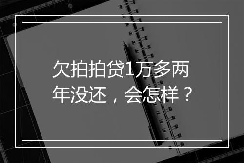欠拍拍贷1万多两年没还，会怎样？