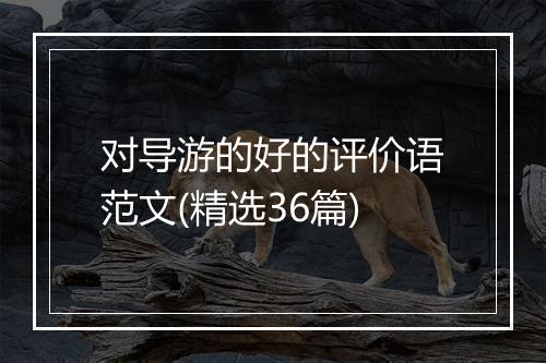 对导游的好的评价语范文(精选36篇)