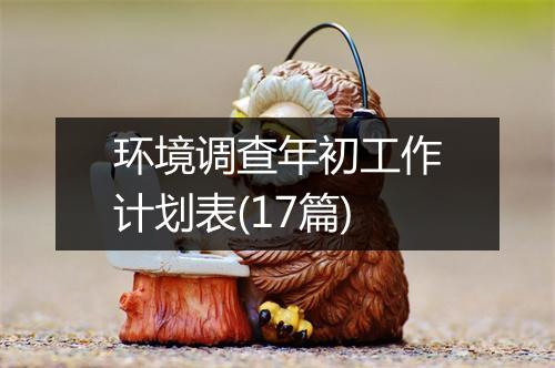 环境调查年初工作计划表(17篇)