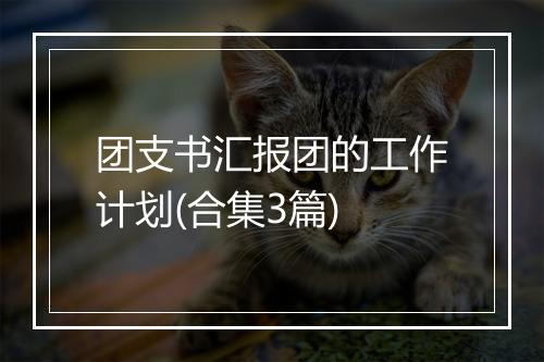 团支书汇报团的工作计划(合集3篇)