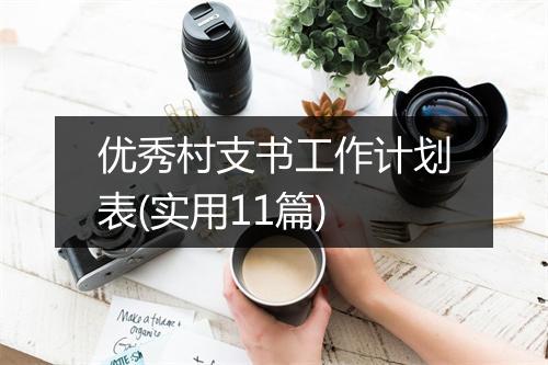 优秀村支书工作计划表(实用11篇)