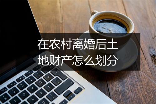 在农村离婚后土地财产怎么划分