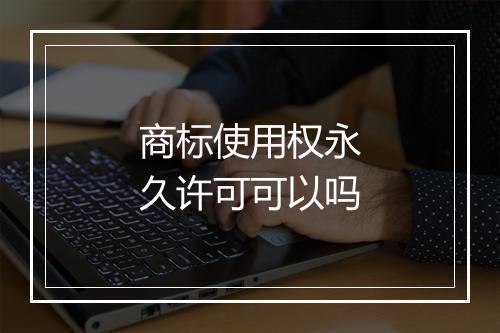 商标使用权永久许可可以吗