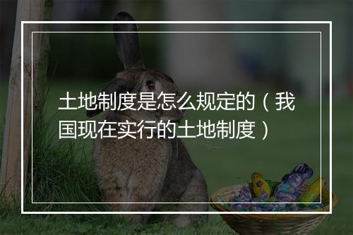 土地制度是怎么规定的（我国现在实行的土地制度）