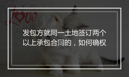发包方就同一土地签订两个以上承包合同的，如何确权