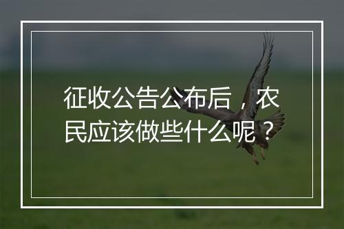 征收公告公布后，农民应该做些什么呢？