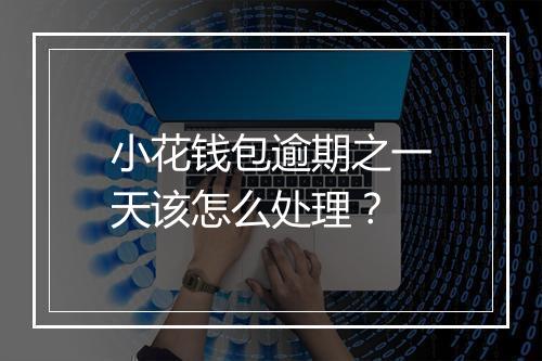 小花钱包逾期之一天该怎么处理？