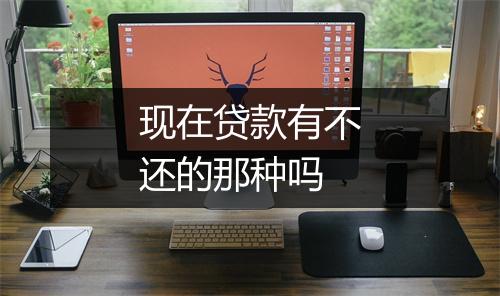 现在贷款有不还的那种吗